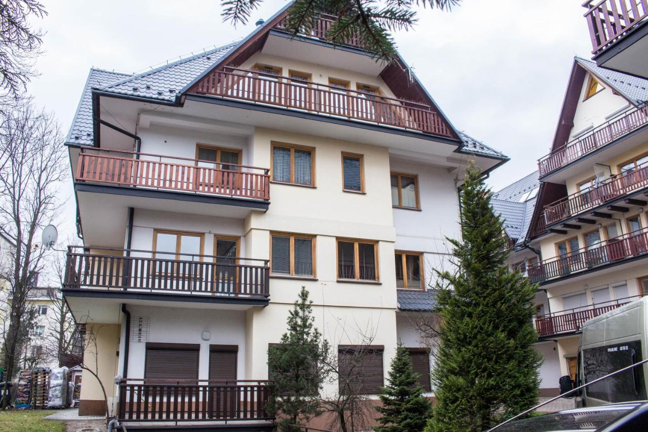 Apartament Owcze Runo זקופאנה מראה חיצוני תמונה